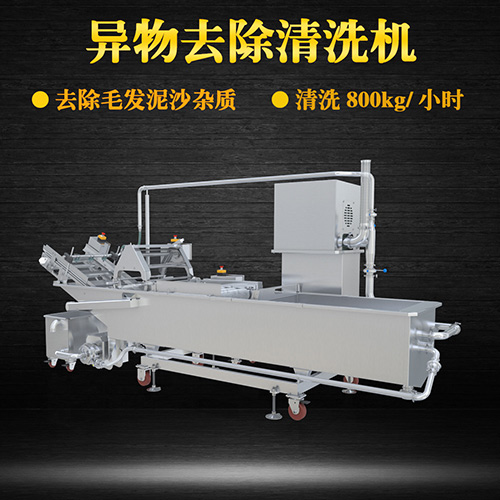 果蔬清洗機制造廠家，氣泡清洗，清洗800kg小時