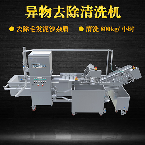 蔬菜自動化清洗設(shè)備，氣泡清洗，清洗800kg小時(shí)