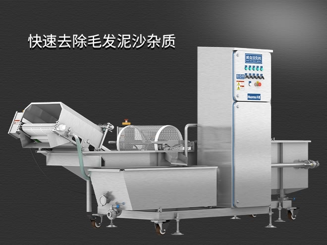 果蔬清洗機制造廠家，氣泡清洗，清洗800kg/小時